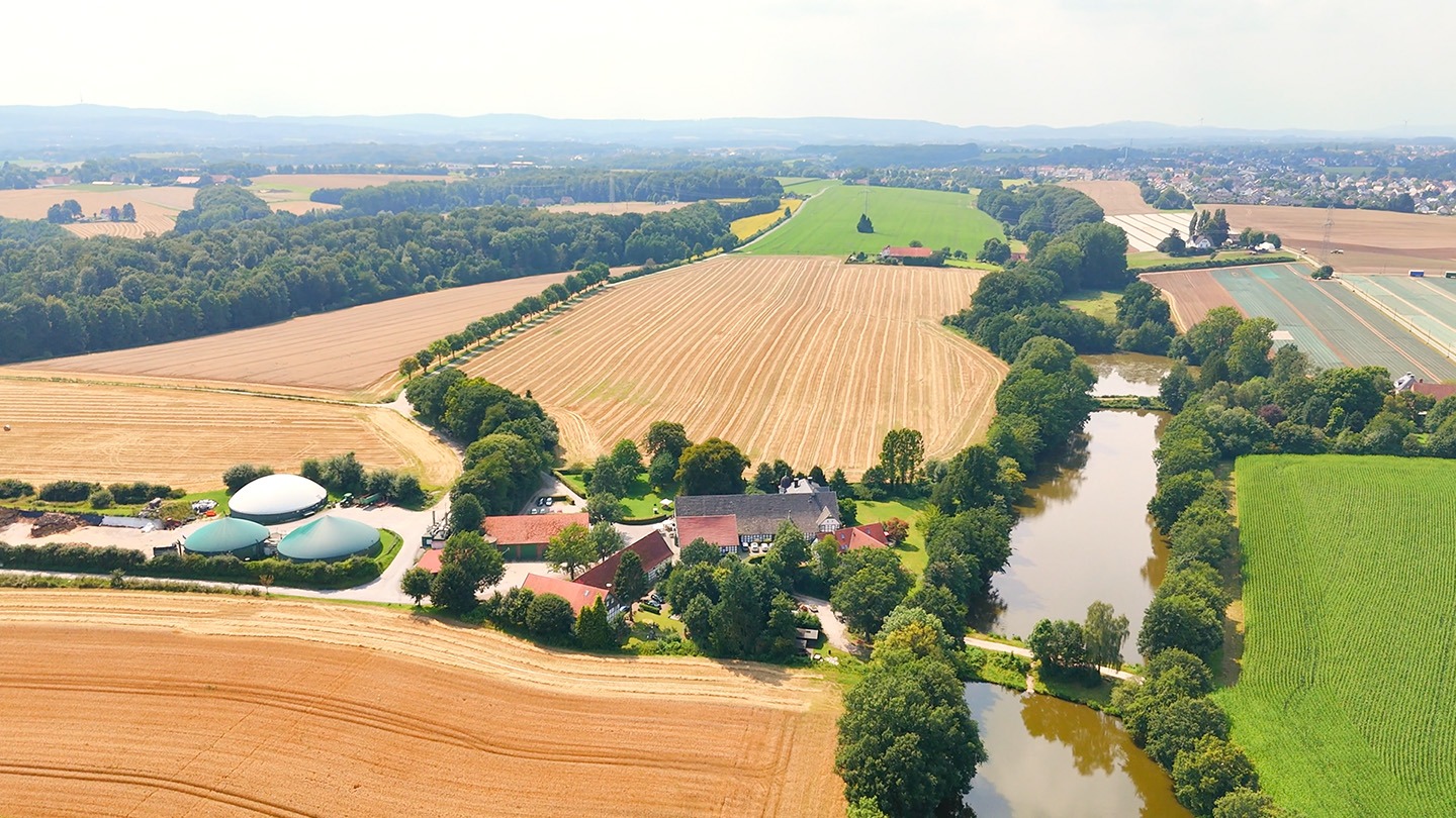 Mehr über den Artikel erfahren Hochzeit Uphof Jöllenbeck – Emotionale Sommerhochzeit in Bielefeld | Hochzeitsfilm